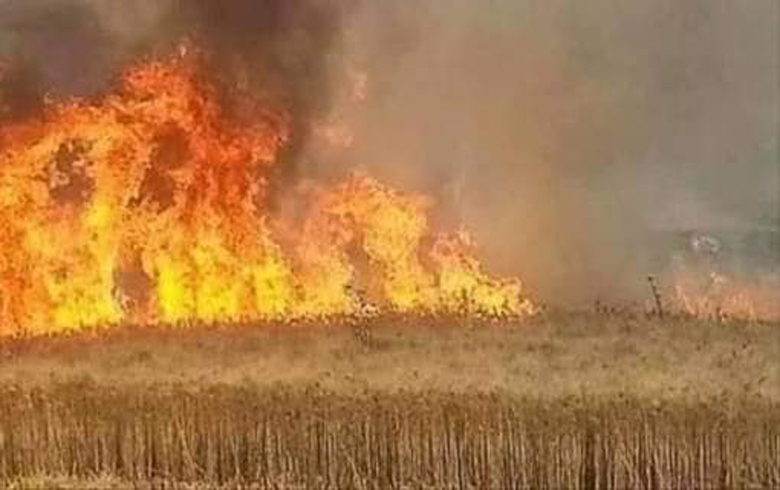 احتراق أراضي في عين ديوار بريف ديرك احتراق أراضي في عين ديوار بريف ديرك