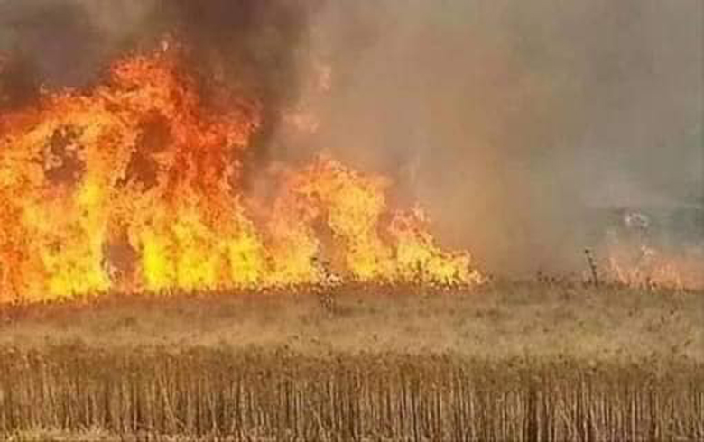 Burning of agriculture land in Ain Dewar in rural Derik