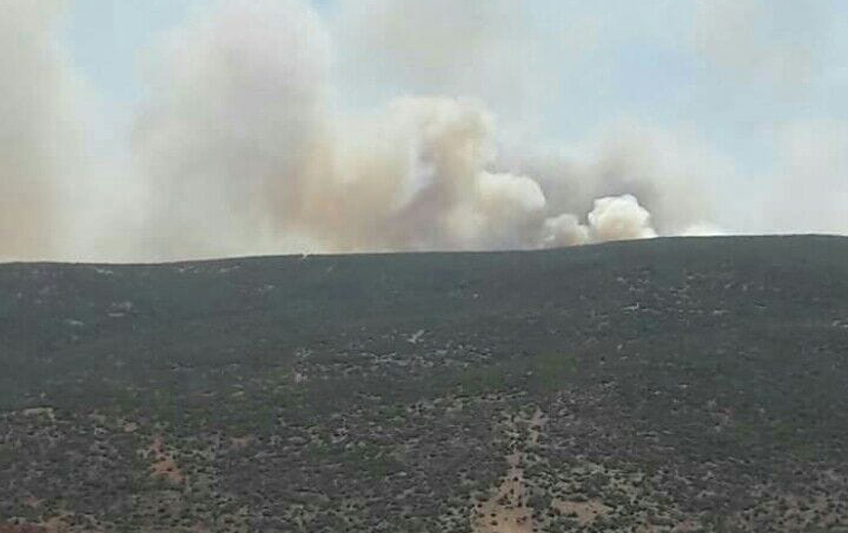 Afrin ... New fires devour most of Hawar Mount 