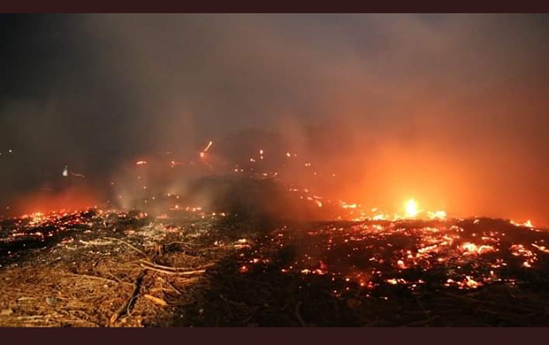 Fires break out in the mountains of Afrin