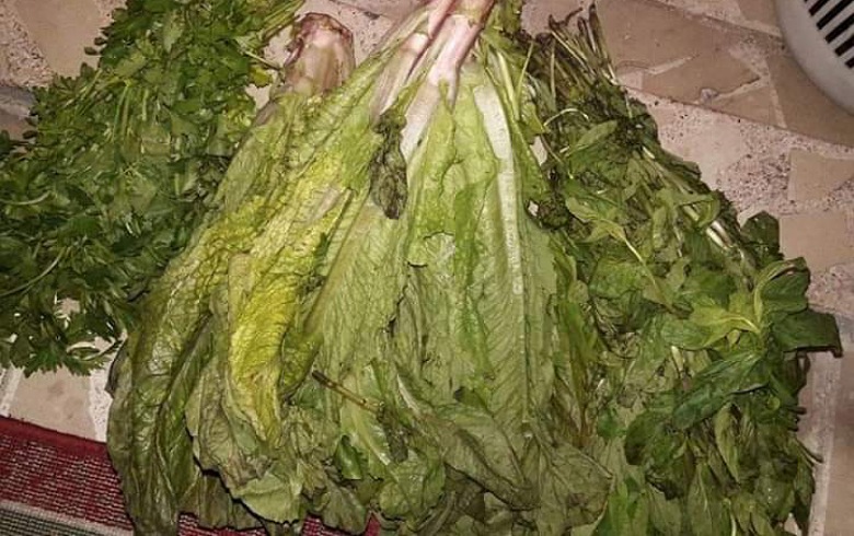 أوضاع مزرية يعيشها الكورد في حيي الشيخ مقصود والأشرفية