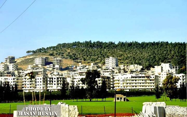 Afrin… Several sheep died in an explosion 