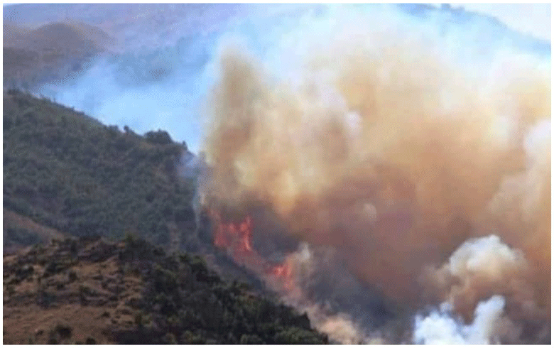 Afrin ... Massive and intended fires devour the mountains of Khastia in the area of Mabata town