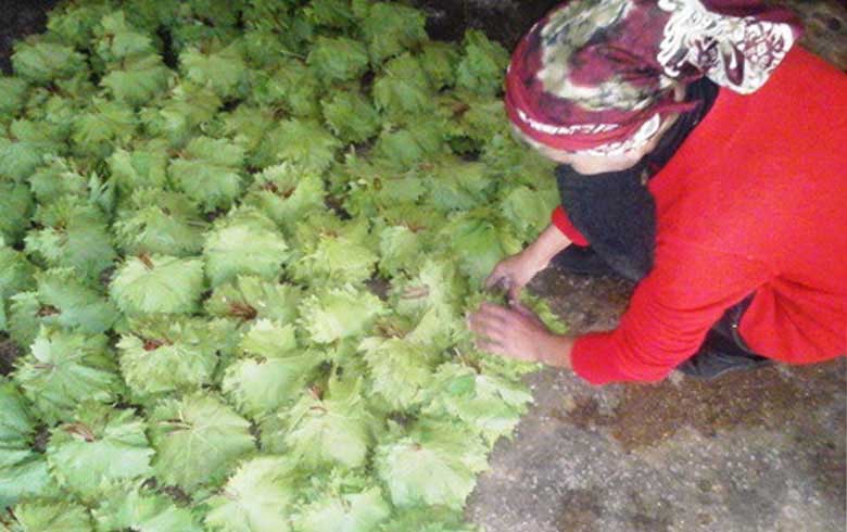 Afrin.. “Suleiman Shah” imposes new levies on residents in Shiye township