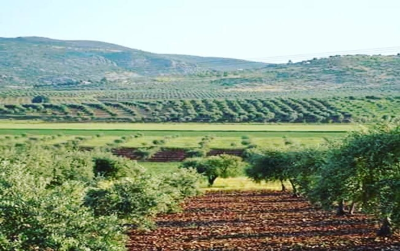 Diyardeya xwestina fidiye li Efrînê derketiye 