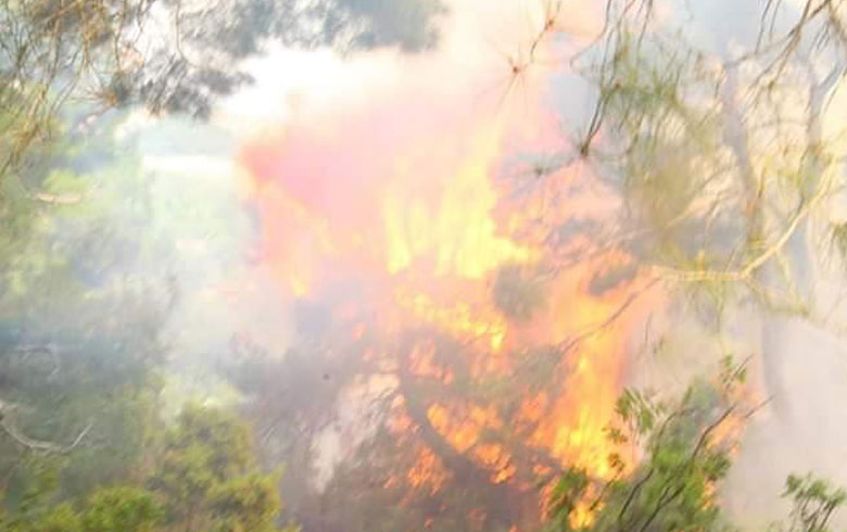 In pictures .. Fires devour three places in Afrin region
