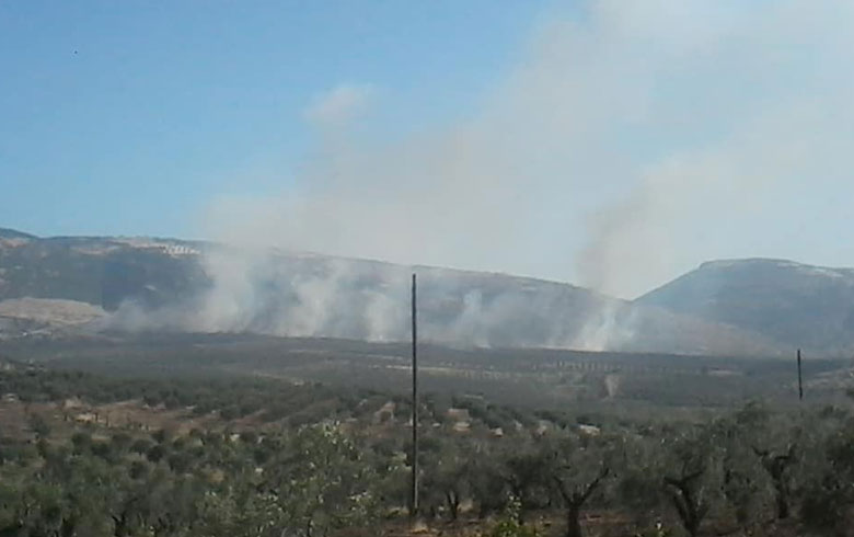 Afrin: Armed militias  are setting fire to thousands of forest trees, cherries and olives