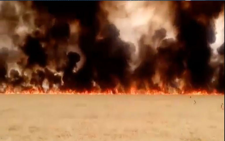 Hasaka’s fire.. Nearly 50, 000 donums turned into ashes