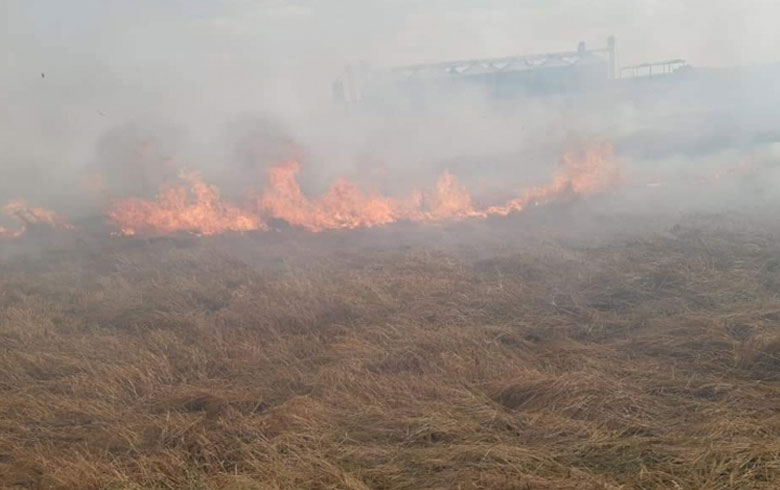 The fires devour more Kurd crops in Sari Kaniye