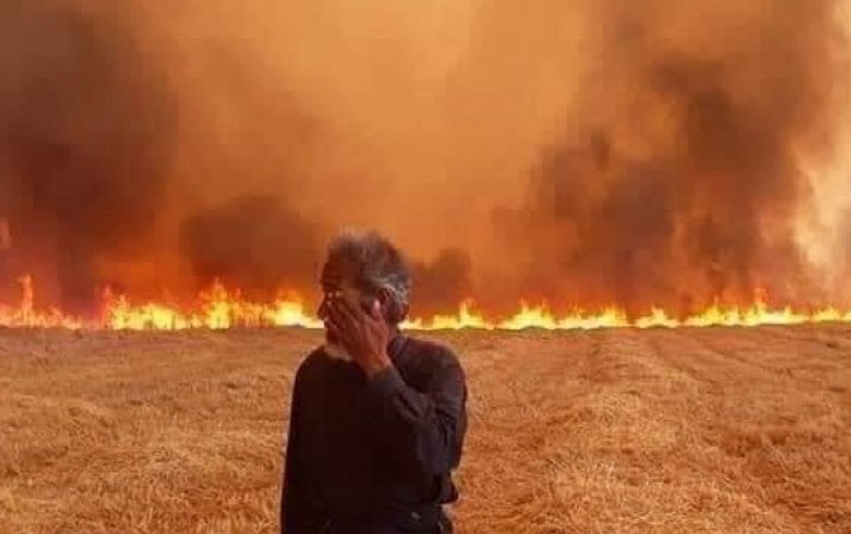 سبعة حرائق في محاصيل الفلاحين بكوردستان سوريا منذ صباح اليوم