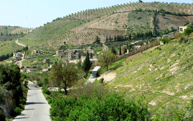 Afrin… Violations of armed Settlers