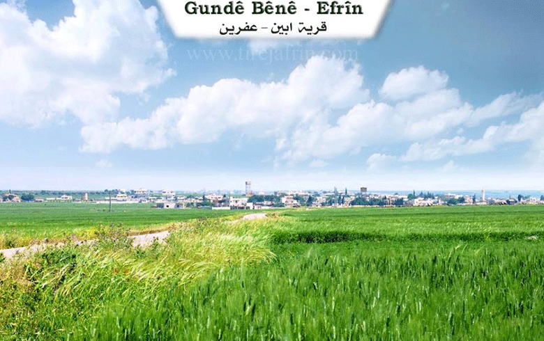 Afrin ... The loss of a Kurdish girl for her life on the Syrian-Turkish border and the disappearance of 7 others