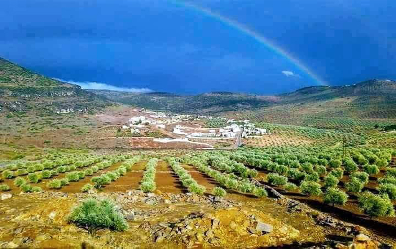Million Syrian pounds for the release of a citizen in rural Afrin