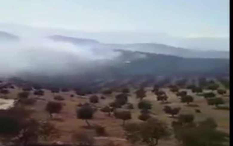 عه‌فرین .. ئاگر ب چیاێ گوندێن شیێ وجندرێسێ كه‌ت 