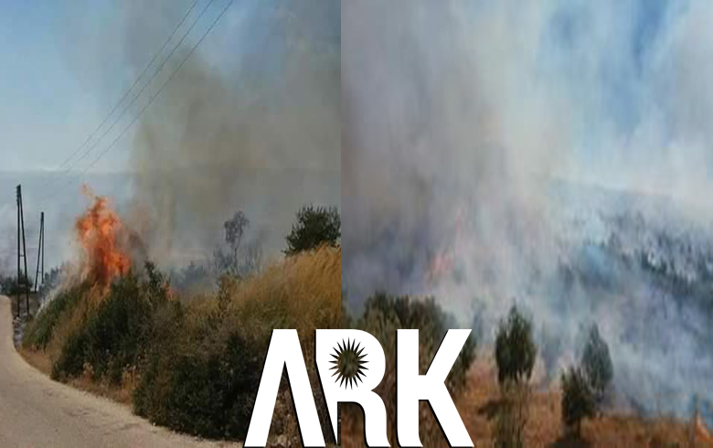 ب سه‌دان دارێن وه‌لاتییان ل ناڤچه‌یا راجۆ یا عه‌فرینێ هاتن شه‌وتاندن 