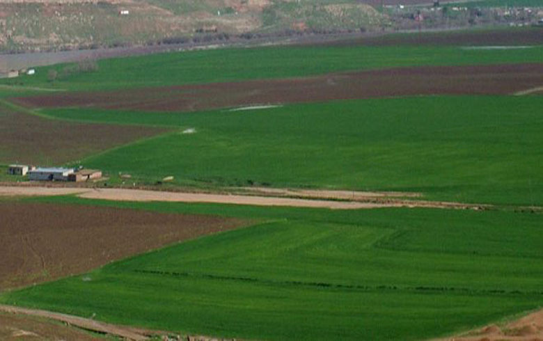 رێژیم دەینێن خوە ل سەر جۆتكاران وەردگرە