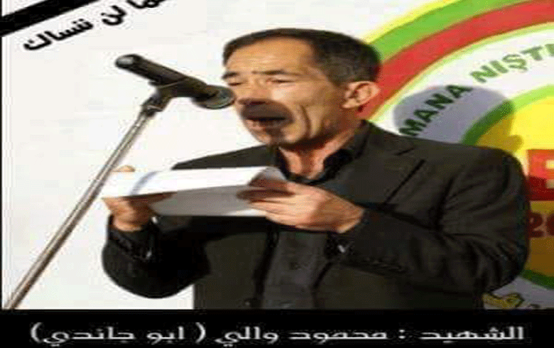 The seventh anniversary of the martyrdom of Mahmoud Wali