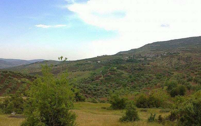 عفرين .. اختطاف العشرات من الكورد 