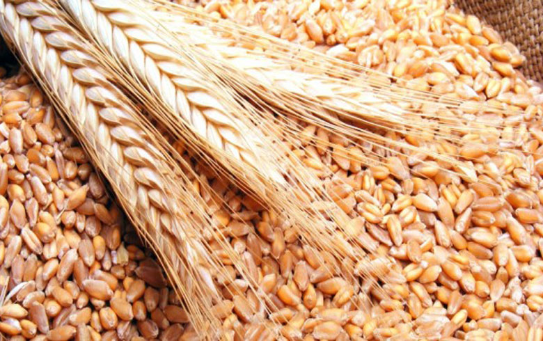 The PYD determines the purchase prices of wheat and barley crop for less than the price of the regime