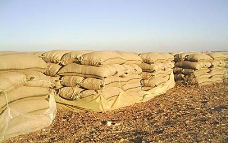 نرخێ یەك چوالێ ڤالا یێ گەنم ب 1100 ل.س تێ فرۆشتن