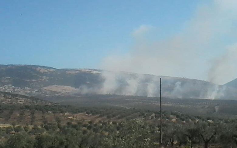 Efrîn .. Çekdaran agir bi hezaran darên çiyayî, zeytûn, û kerezan xist 