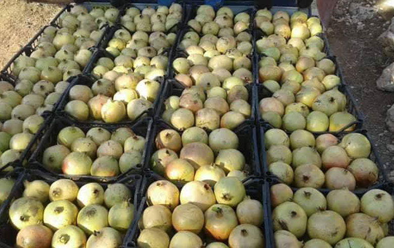 ده‌مسالا هناران ل عه‌فرینێ 