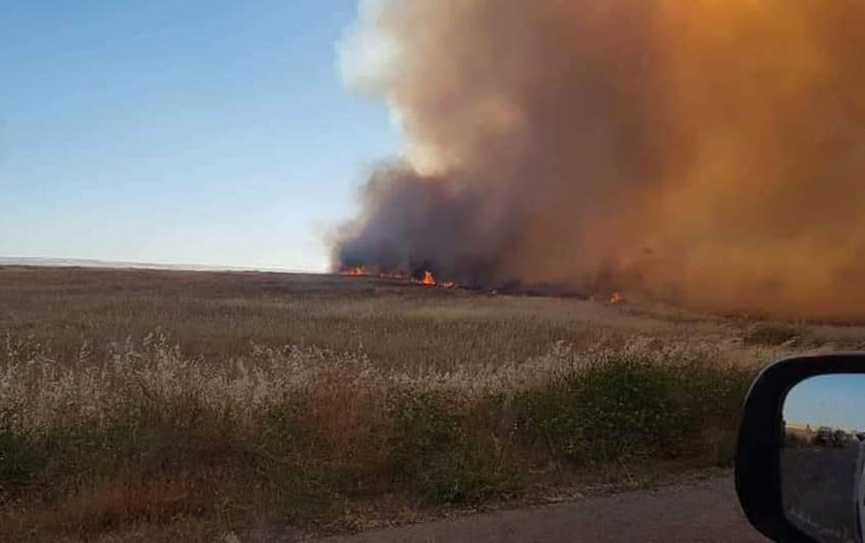 كوبانى .. الحرائق تلتهم أراضٍ زراعية شاسعة ( صور و فيديو ) 