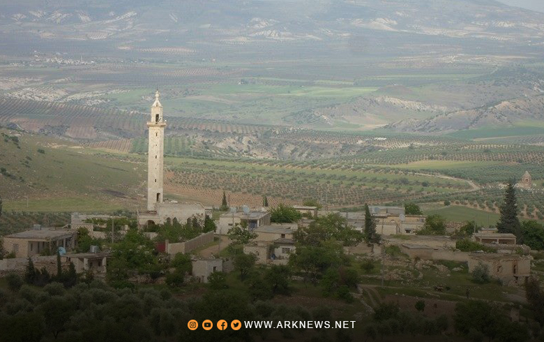 In one village... A leader seizes tens of thousands of olive trees belonging to the Kurds in Afrin