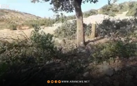 مسلحو فيلق الشام يقتطعون الأشجار في قرى ناحية راجو بريف عفرين 