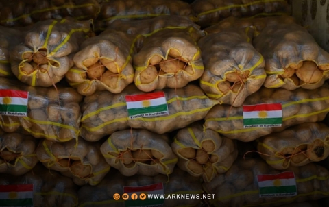إقلیم كوردستان یصدر مئات الأطنان من البطاطا إلى كوردستان سوريا إقلیم كوردستان یصدر مئات الأطنان من البطاطا إلى كوردستان سوريا