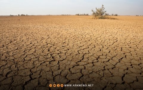 الجفاف أثر على نحو 75% من المساحات المزروعة والمراعي الطبيعية في سوريا