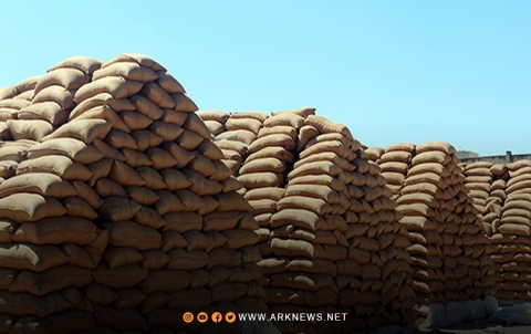 المؤسسة السورية للحبوب تصرف مستحفات الفلاحين من ثمن القمح 