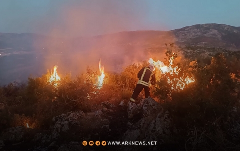 عفرين.. الحرائق تلتهم مساحة واسعة من الأراضي الحراجية في ناحية راجو عفرين.. الحرائق تلتهم مساحة واسعة من الأراضي الحراجية في ناحية راجو