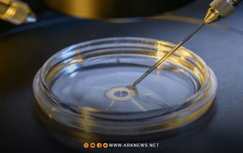 فريق علمي ياباني يكتشف علاجا جديدا للعقم عند الرجال