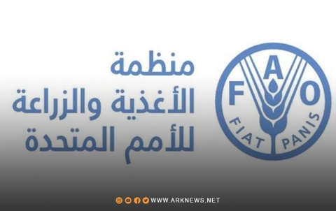 الفاو تحذر من أزمة الأمن الغذائي في سوريا 