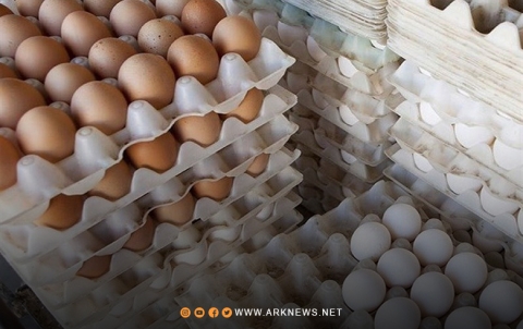 البيض الإيراني يغزو الأسواق ويتسبب بكساد البيض المحلي في محافظة دير الزور 