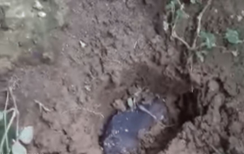 نيزك يحطم سقف منزل رجل فقير ويجعله من الأثرياء مباشرة 