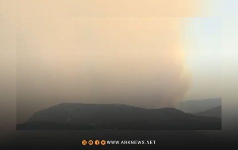 الحرائق تلتهم مئات الأشجار المثمرة في اللاذقية