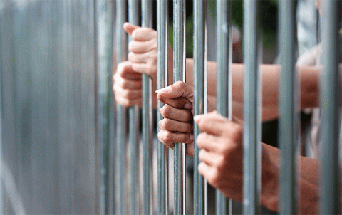 تۆرا سوریێ : د مەها گولانێ دە هەری كێم  147 رەوشین بنچاڤكرنێ هاتنە تۆماركرن