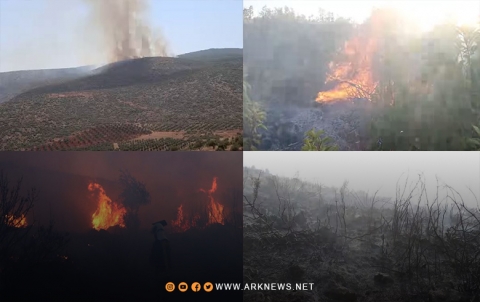 عفرين.. النيران تلتهم مئات الأشجار الحراجية والجبلية في ناحية بلبلة عفرين.. النيران تلتهم مئات الأشجار الحراجية والجبلية في ناحية بلبلة