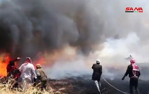 SANA: QSD has a hand in the fires that extending crops