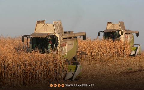 الكشف عن قيمة صادرات المنتجات الزراعية من روسيا