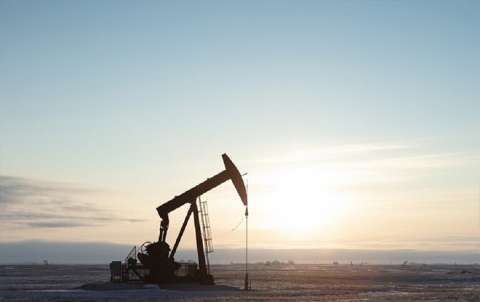 Vitol announces the supply of more than one million barrels of oil from the United States to Europe per day Vitol announces the supply of more than one million barrels of oil from the United States to Europe per day