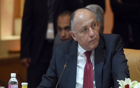 Egypt calls for stopping of conducting demographic engineering to modify demographics in northern Syria