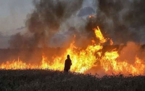 Wild Fires Ravage Vital Wheat Crops as Syrian Coalition Urges Int’l Action