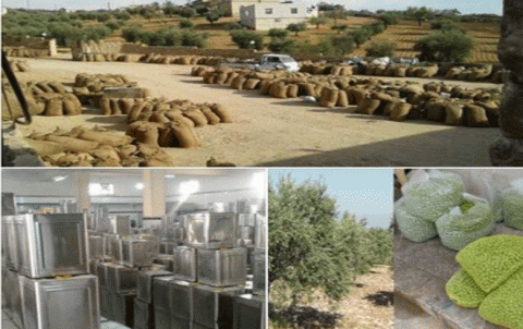 The reality of the olive presses, Bereen factories, and soap in Afrin The reality of the olive presses, Bereen factories, and soap in Afrin