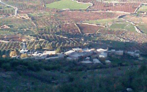 Violations of pro-Turkish armed groups continue in rural Afrin