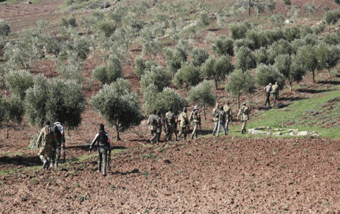 An armed group issued a decision to raise its proportion of the olive crop