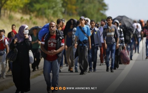 نصفهم في ألمانيا.. تقرير يكشف عدد السوريين الحاصلين على حق اللجوء