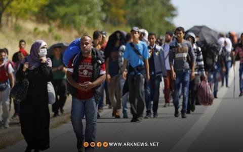 نصفهم في ألمانيا.. تقرير يكشف عدد السوريين الحاصلين على حق اللجوء